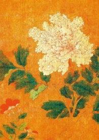 情趣用品