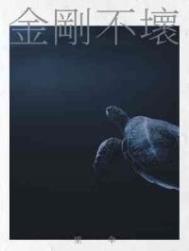 金刚不坏国语版